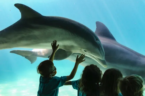 SeaWorld Orlando