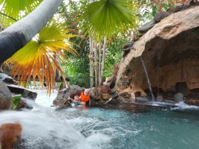 REVIEW: Center Parcs Erperheide