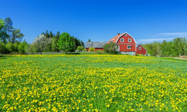 4x de leukste bestemmingen voor een rondreis met Nordic