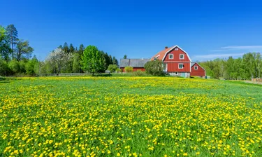 4x de leukste bestemmingen voor een rondreis met Nordic