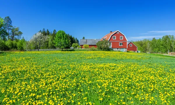 4x de leukste bestemmingen voor een rondreis met Nordic