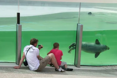 Residentie Californië