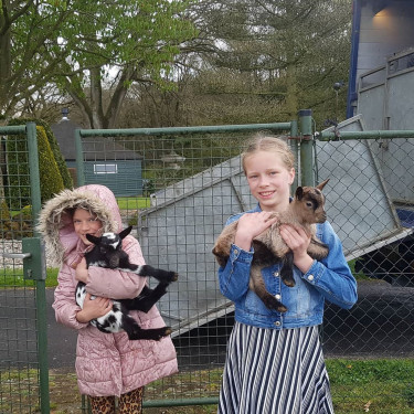 camping-de-bosrand (6).jpg