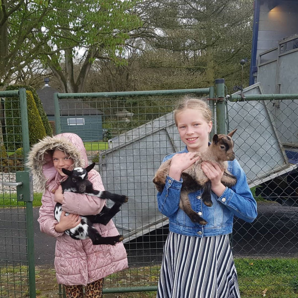 camping-de-bosrand (6).jpg