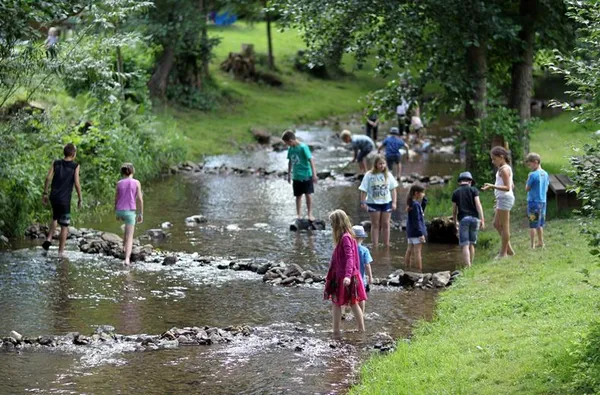 Kindercamping De Vogezen