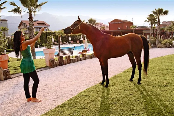 Hotel Alcantara Resort