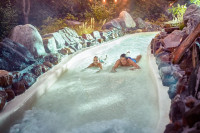 recently watched image