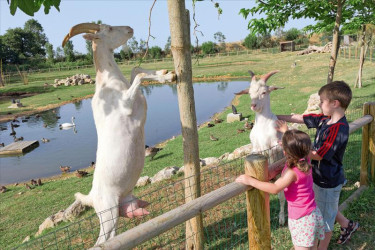 Camping Séquoia Parc