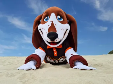 Dormio Resort Berck-sur-Mer