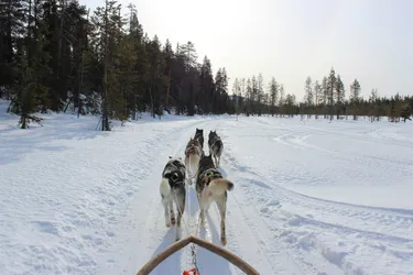 Wintersport met kinderen
