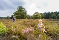 recently watched image