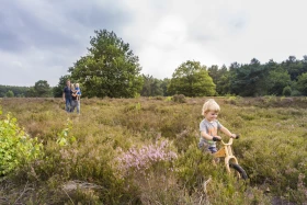 Ontdek wat groen kan doen... in Drenthe