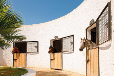 Sentido Hotel Phenicia