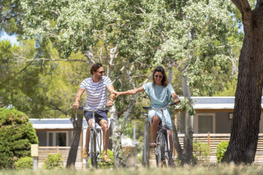 Camping L’Îles des Papes