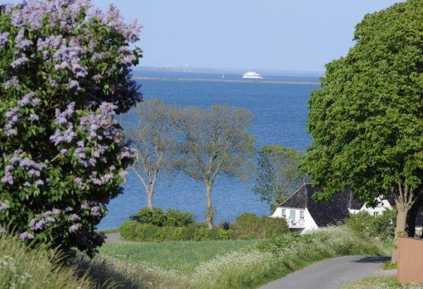 15-Daagse rondreis Kaj - Denemarken