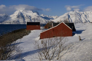Noorderlicht in Tromsø