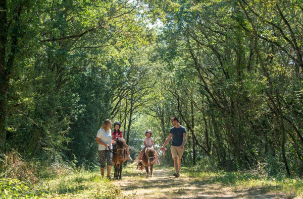 Camping Village de la Guyonniere