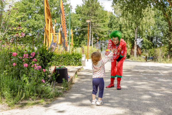 Hoofdafbeelding zomer.jpg