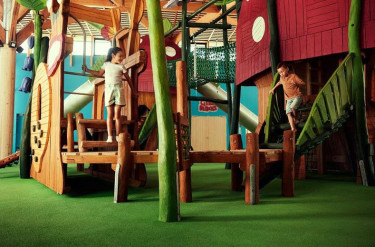 Les Landes de Gascogne