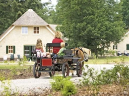 Vakantiepark Het Land van Bartje biedt Kinderanimatie zoals het rijden met paard en wagen