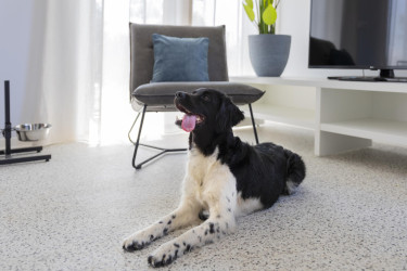 Resort Nieuwvliet-Bad