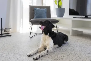 Resort Nieuwvliet-Bad