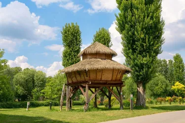 HUT SAVANA Paris Masion Laffitte.jpg