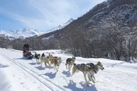 recently watched image