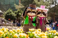 recently watched image