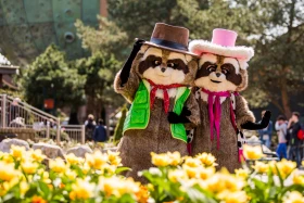 vakantiepark-slagharen (20).jpg