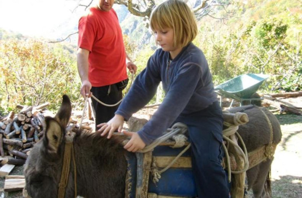 Familierondreis Kroatie