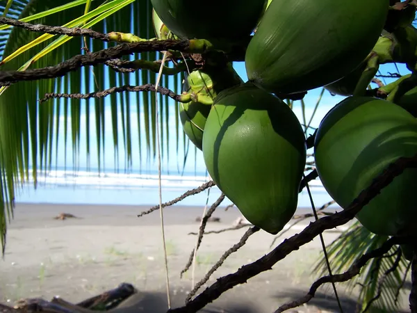 Costa Rica met kinderen