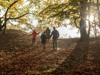 recently watched image