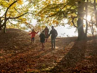 recently watched image