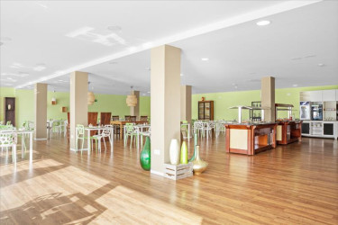 Smartline Lanzarote Palm