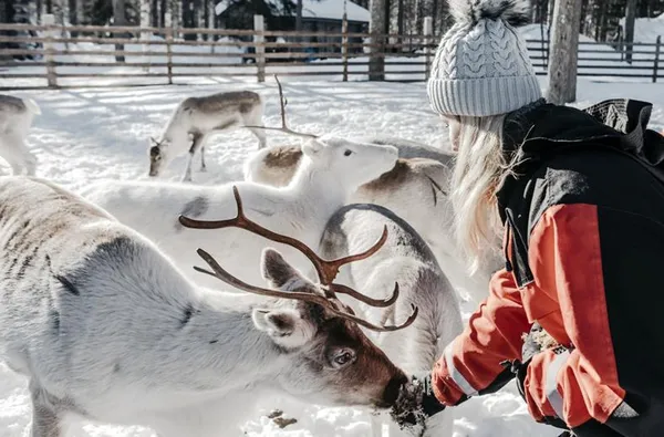 Op wintersport naar Zweden 