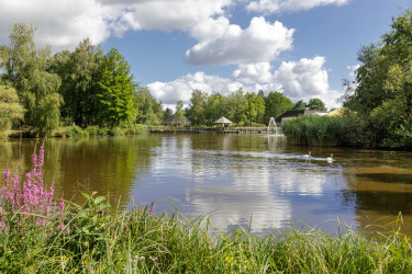 Limburgse Peel (5).jpg