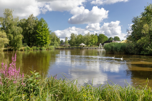 Limburgse Peel (5).jpg