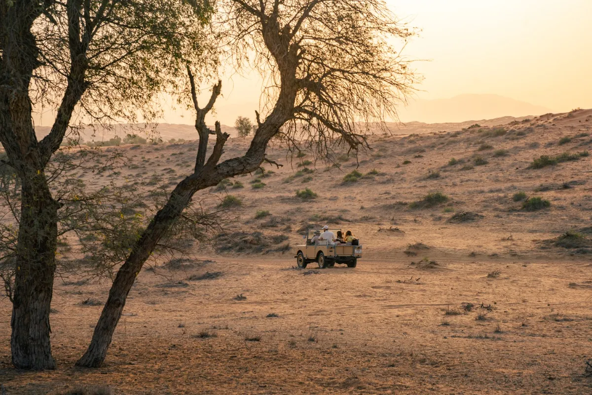 Al Wadi desert (2) (Groot).jpg