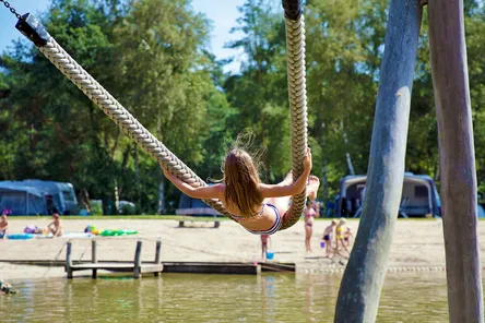 Giga konijnenveld Beerze Bulten