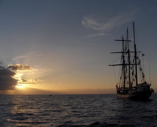 Familiehotel The Costa Taurito