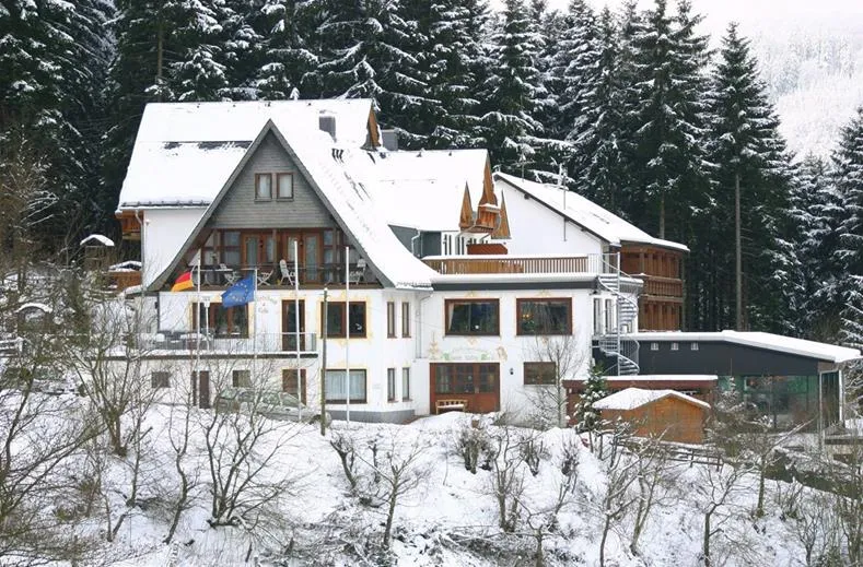 Het kindvriendelijke Waldhotel Willingen, prachtig gelegen in het besneeuwde heuvellandschap van Sauerland.