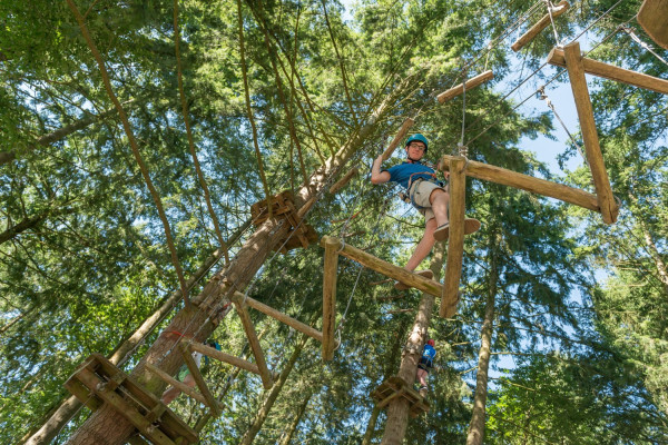 Camping Domaine des Ormes