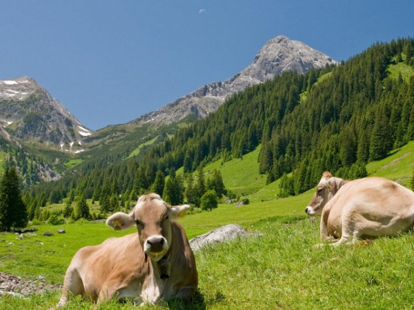 Center Parcs Allgäu