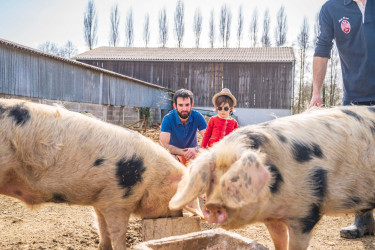 BoerenBed L'Étable des Mauges en Anjou