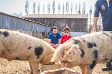BoerenBed L'Étable des Mauges en Anjou