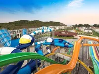 recently watched image