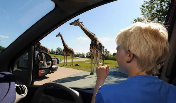 #5 Zwembadgarantie op vakantie
