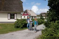 recently watched image