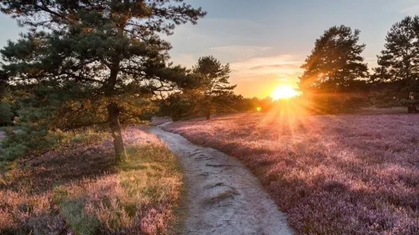 Hotel 't Paviljoen - omgeving, utrechtse heuvelrug